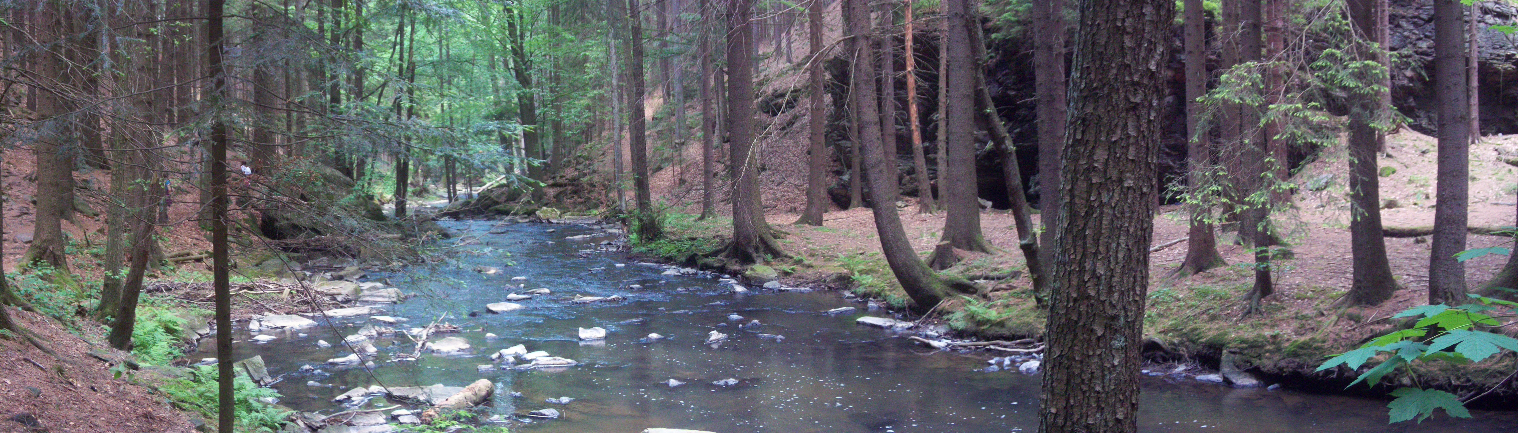 POHLED NA DOUBRAVU